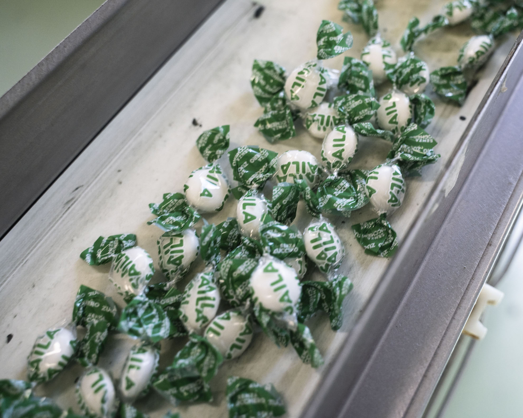 La nostra menta piperita